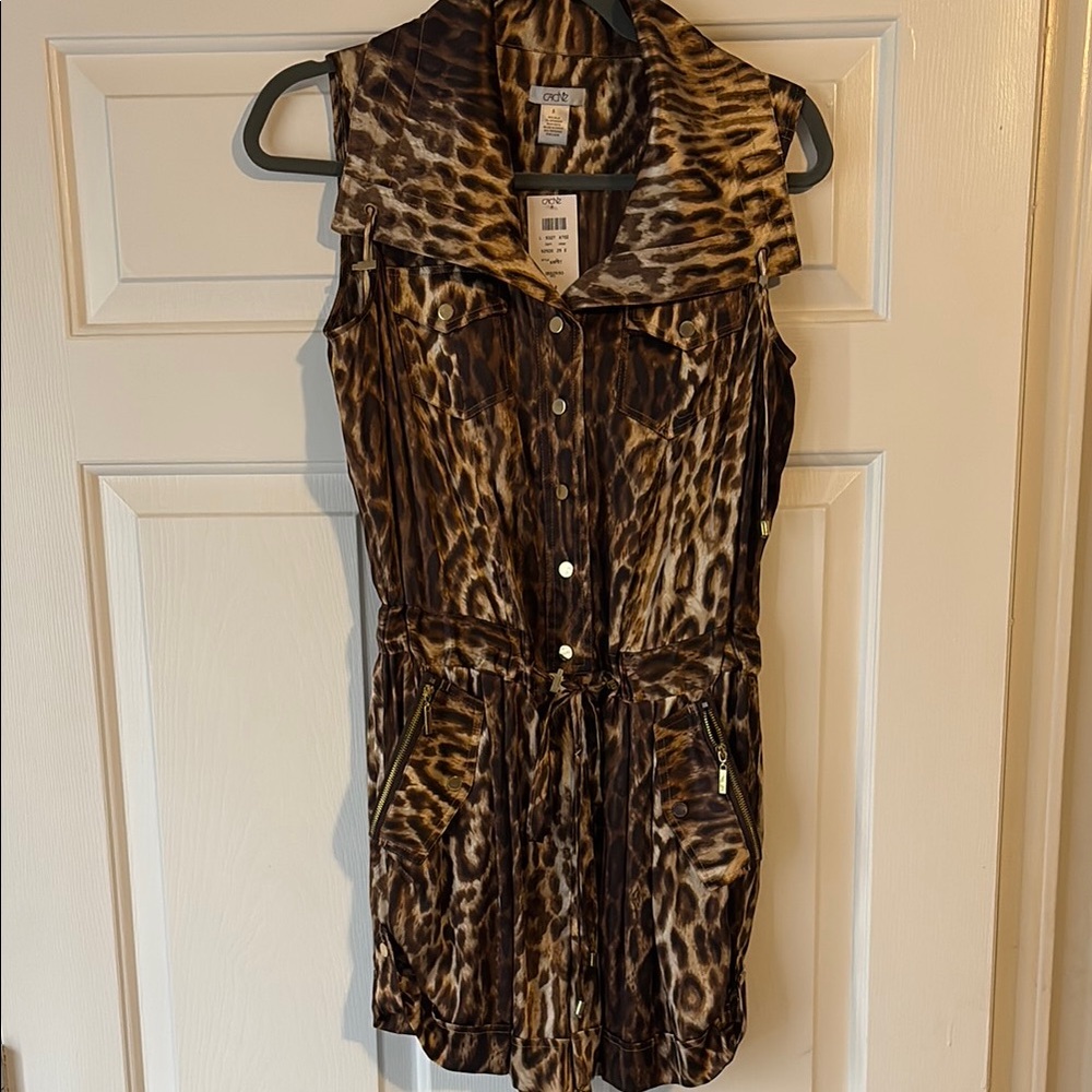 Zara Leopard Print Sleeveless Dress